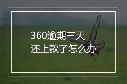 360逾期三天还上款了怎么办