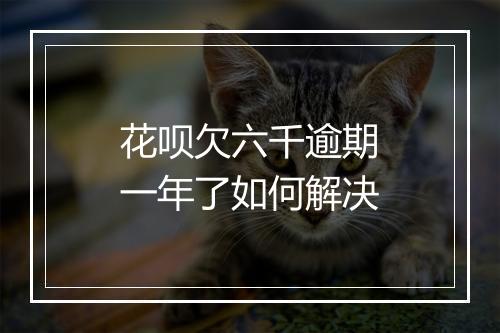 花呗欠六千逾期一年了如何解决