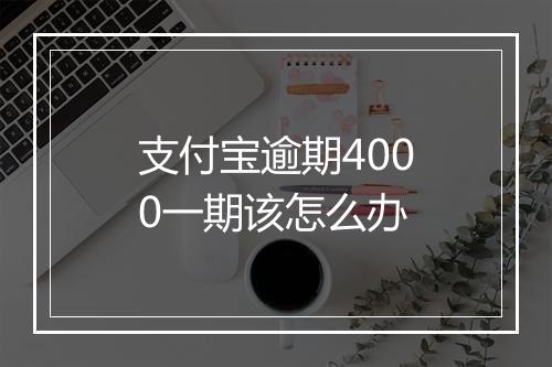 支付宝逾期4000一期该怎么办