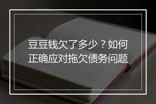 豆豆钱欠了多少？如何正确应对拖欠债务问题
