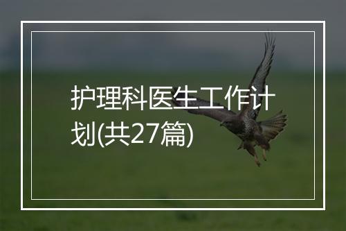 护理科医生工作计划(共27篇)