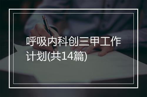 呼吸内科创三甲工作计划(共14篇)