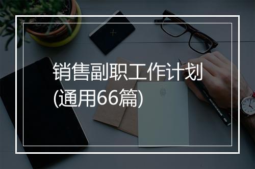 销售副职工作计划(通用66篇)