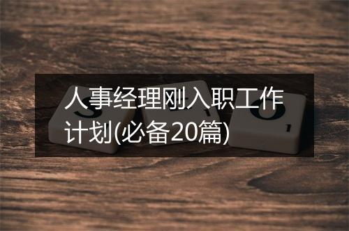 人事经理刚入职工作计划(必备20篇)