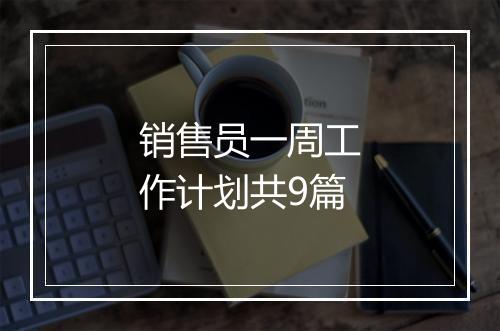 销售员一周工作计划共9篇