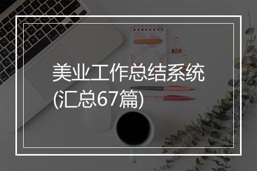 美业工作总结系统(汇总67篇)