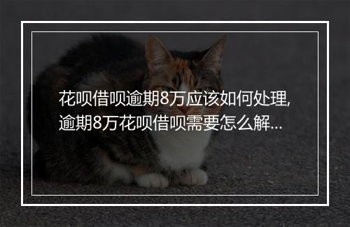 花呗借呗逾期8万应该如何处理,逾期8万花呗借呗需要怎么解决