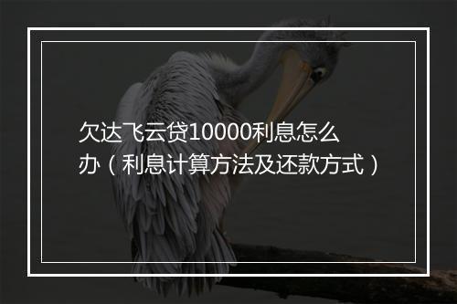欠达飞云贷10000利息怎么办（利息计算方法及还款方式）