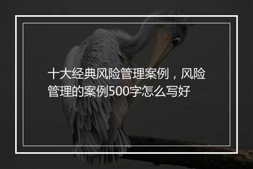 十大经典风险管理案例，风险管理的案例500字怎么写好