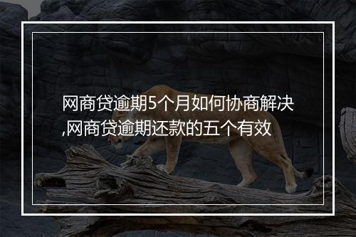 网商贷逾期5个月如何协商解决,网商贷逾期还款的五个有效