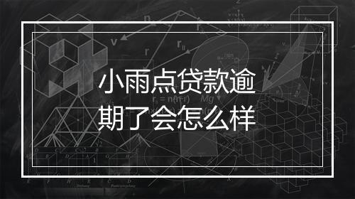 小雨点贷款逾期了会怎么样