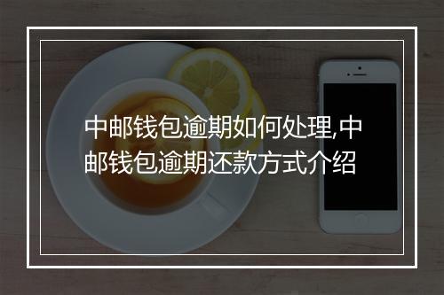 中邮钱包逾期如何处理,中邮钱包逾期还款方式介绍