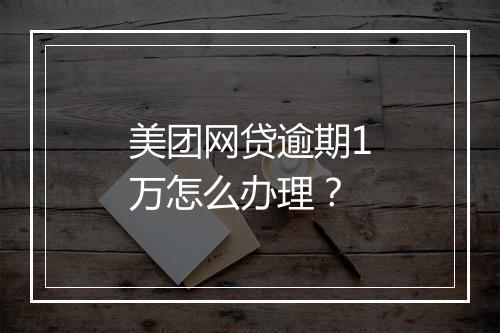 美团网贷逾期1万怎么办理？