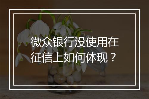 微众银行没使用在征信上如何体现？