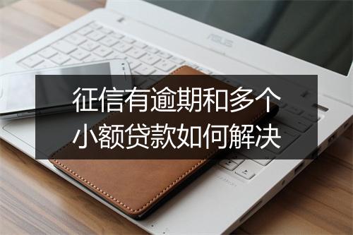 征信有逾期和多个小额贷款如何解决