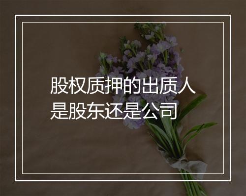 股权质押的出质人是股东还是公司