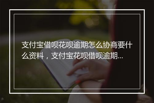 支付宝借呗花呗逾期怎么协商要什么资料，支付宝花呗借呗逾期如何协商延期还款