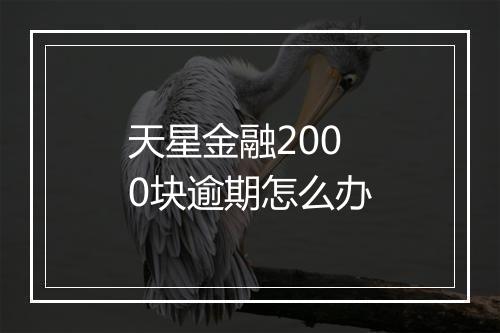 天星金融2000块逾期怎么办