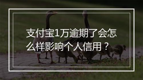 支付宝1万逾期了会怎么样影响个人信用？