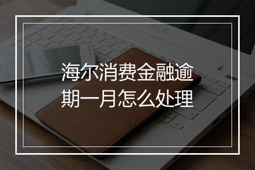 海尔消费金融逾期一月怎么处理