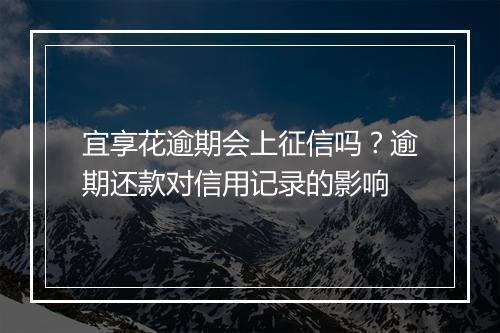 宜享花逾期会上征信吗？逾期还款对信用记录的影响