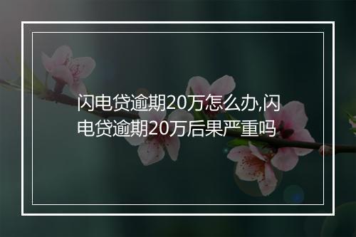 闪电贷逾期20万怎么办,闪电贷逾期20万后果严重吗