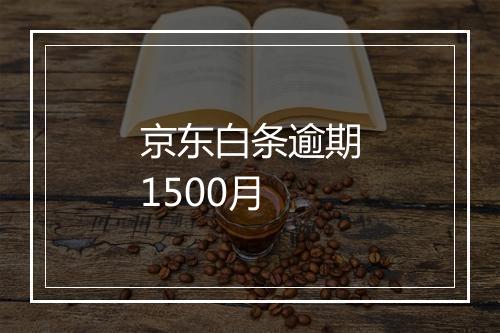 京东白条逾期1500月