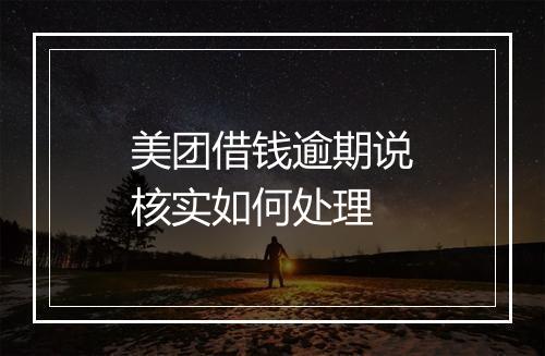 美团借钱逾期说核实如何处理
