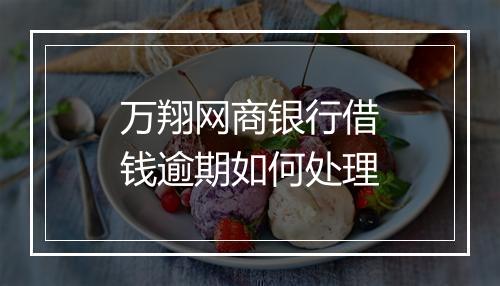 万翔网商银行借钱逾期如何处理