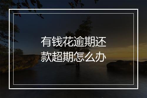 有钱花逾期还款超期怎么办