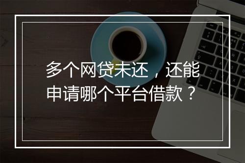 多个网贷未还，还能申请哪个平台借款？