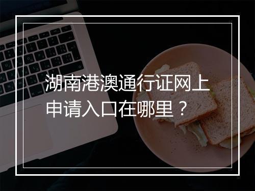 湖南港澳通行证网上申请入口在哪里？