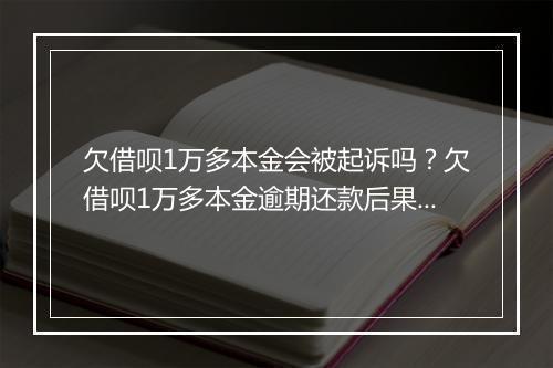 欠借呗1万多本金会被起诉吗？欠借呗1万多本金逾期还款后果说明