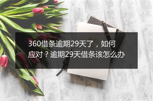 360借条逾期29天了，如何应对？逾期29天借条该怎么办