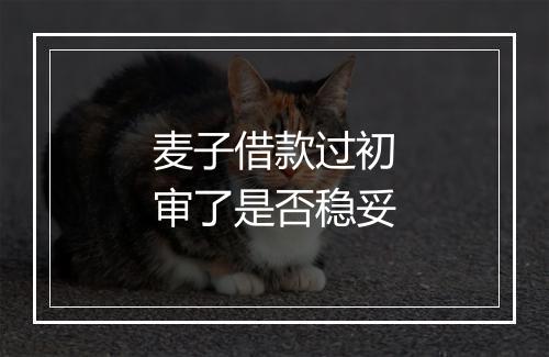 麦子借款过初审了是否稳妥