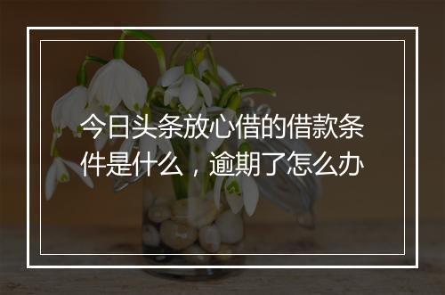 今日头条放心借的借款条件是什么，逾期了怎么办