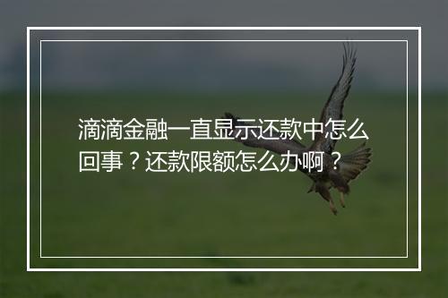 滴滴金融一直显示还款中怎么回事？还款限额怎么办啊？