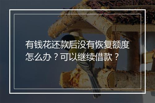 有钱花还款后没有恢复额度怎么办？可以继续借款？