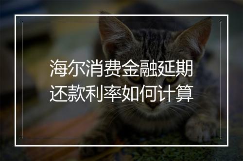 海尔消费金融延期还款利率如何计算