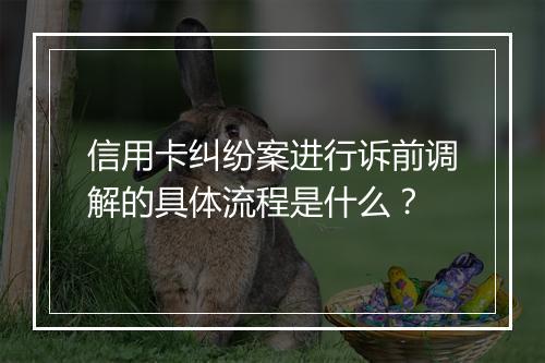 信用卡纠纷案进行诉前调解的具体流程是什么？