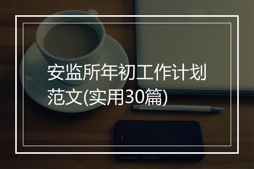 安监所年初工作计划范文(实用30篇)
