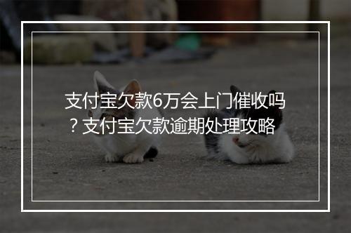 支付宝欠款6万会上门催收吗？支付宝欠款逾期处理攻略