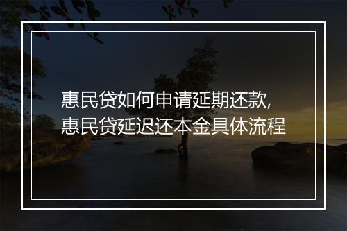 惠民贷如何申请延期还款,惠民贷延迟还本金具体流程
