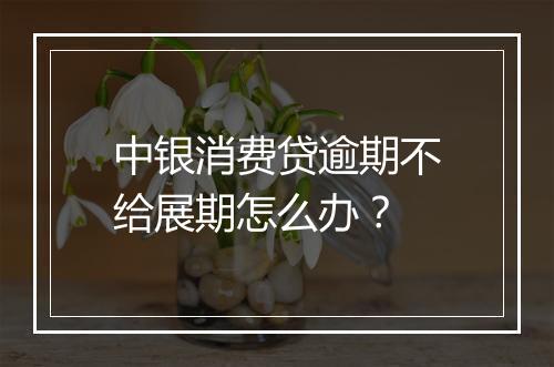 中银消费贷逾期不给展期怎么办？
