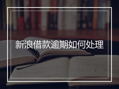 新浪借款逾期如何处理