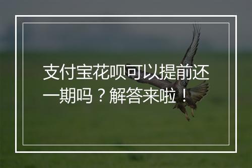 支付宝花呗可以提前还一期吗？解答来啦！