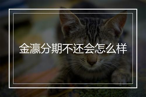 金瀛分期不还会怎么样