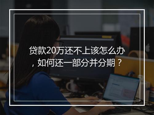 贷款20万还不上该怎么办，如何还一部分并分期？