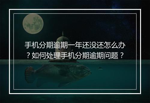 手机分期逾期一年还没还怎么办？如何处理手机分期逾期问题？