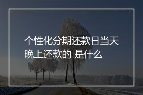 个性化分期还款日当天晚上还款的 是什么